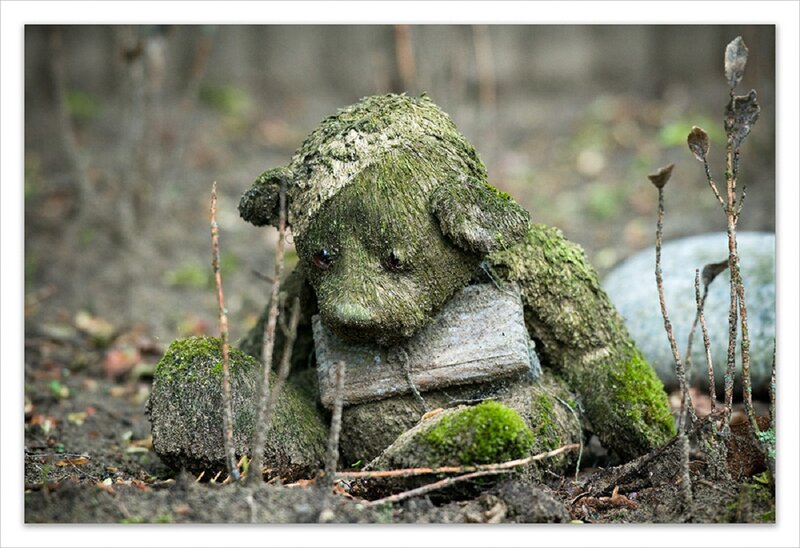 Moss-covered Teddy Bear