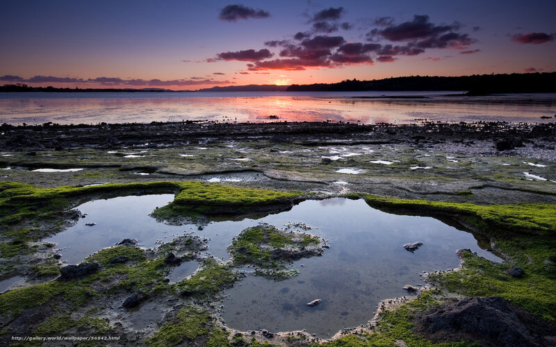 Moss-covered Tidal Pools