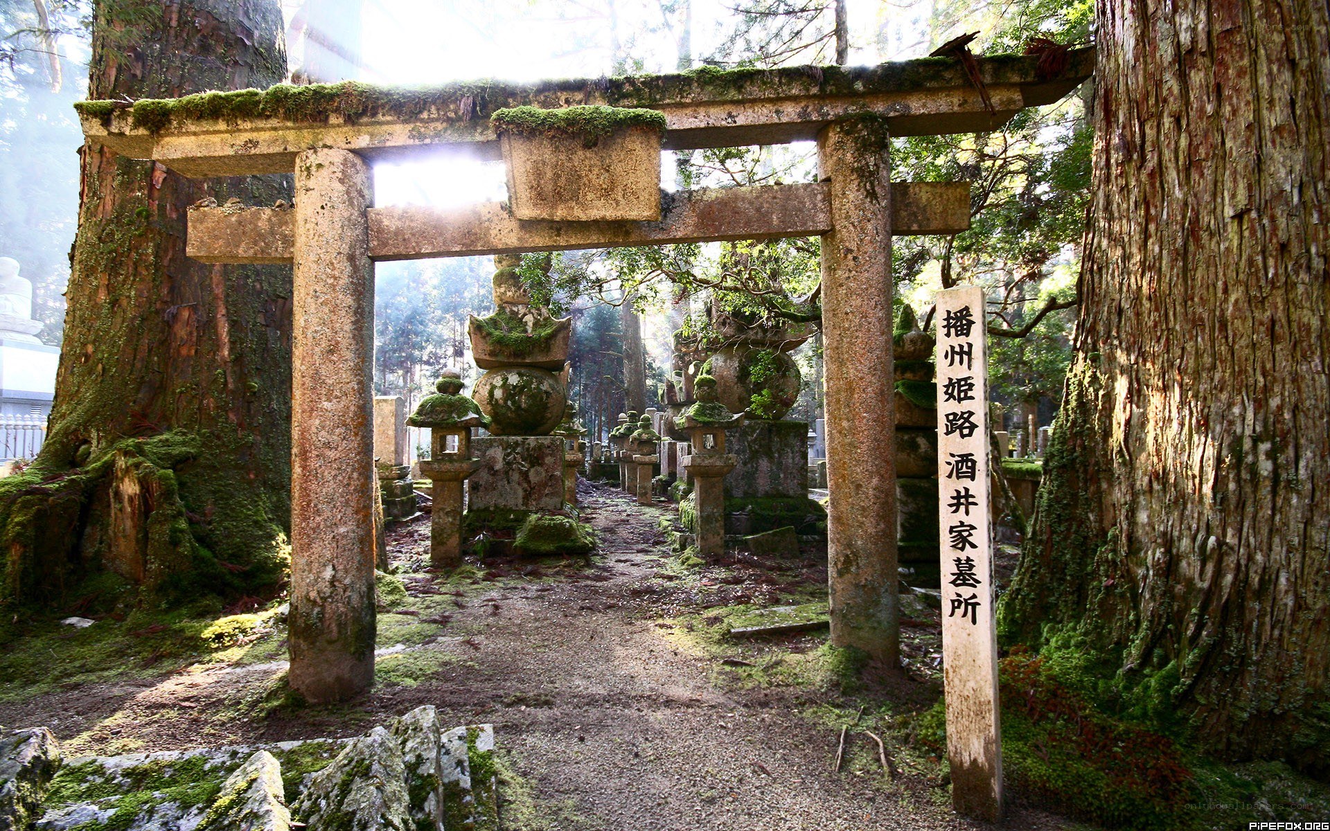Moss-covered torii gate in a forest
