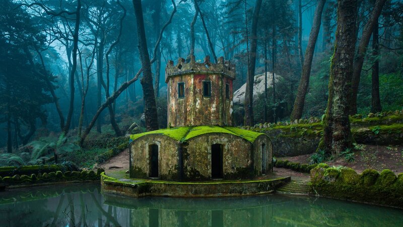 Moss-covered Tower in Forest — Green