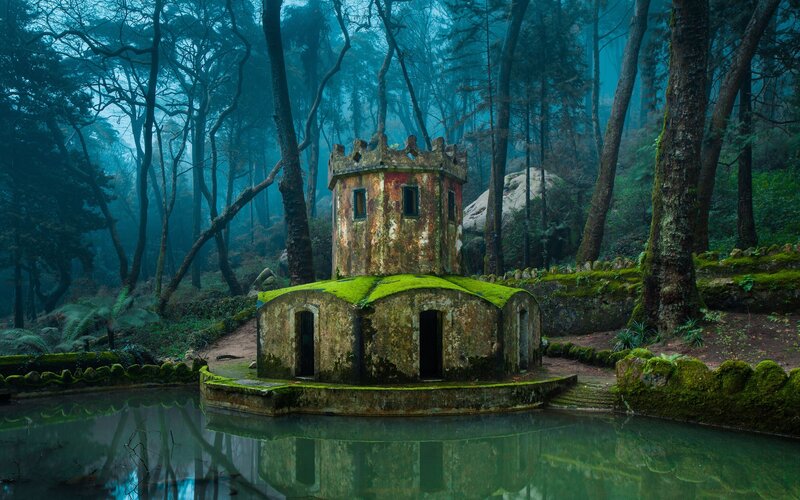 Moss-covered Tower in Forest