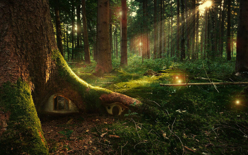Moss-covered Tree House — Green