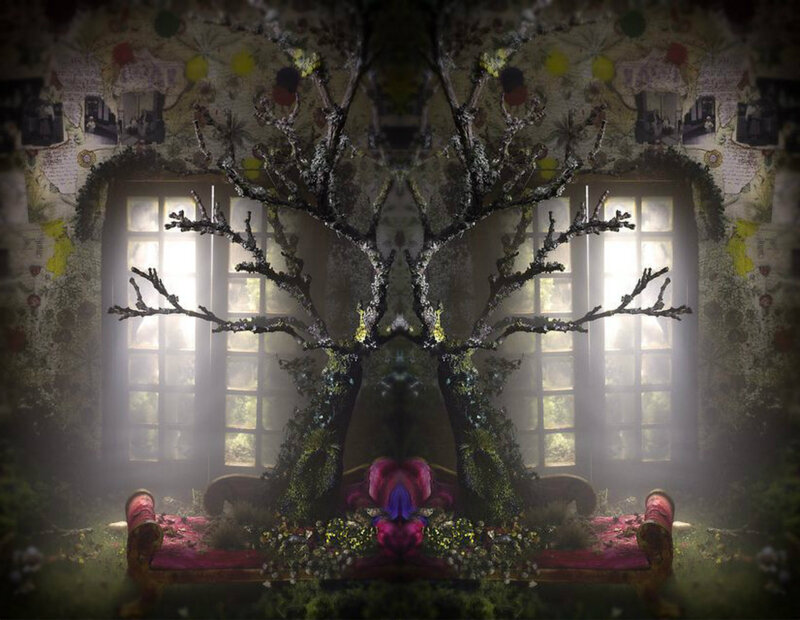 Moss-covered Tree in Room