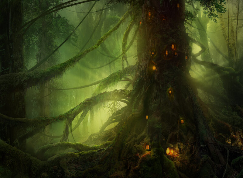 Moss-covered Tree