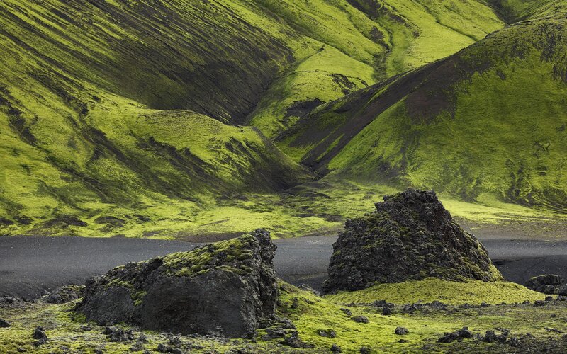 Moss-covered volcanic landscape