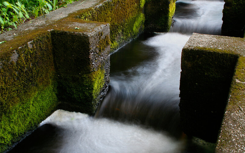Moss-covered water channel