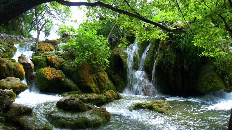 Moss-covered Waterfall — Afternoon