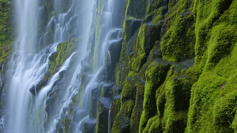 Moss-covered waterfall cascade