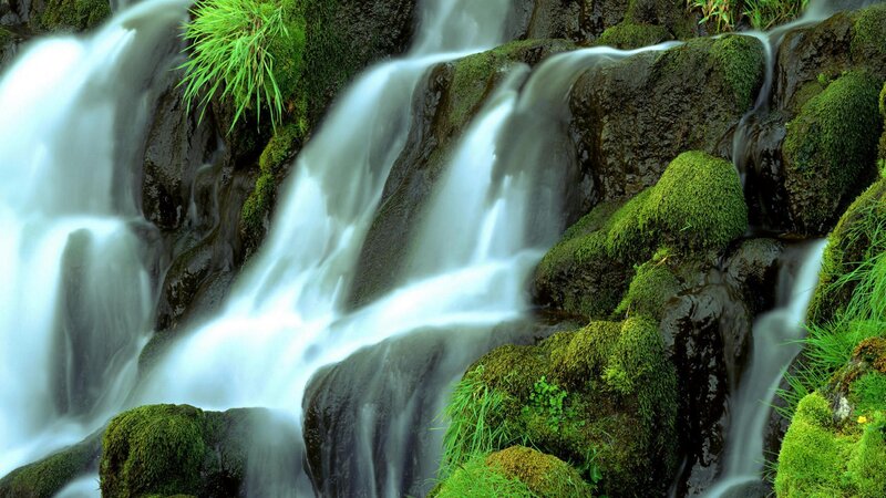 Moss-covered Waterfall — Grass
