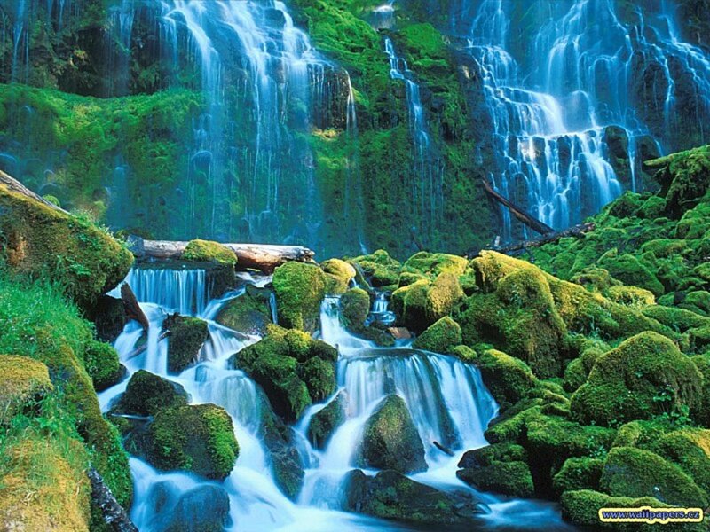 Moss-covered Waterfall — Green, Moss