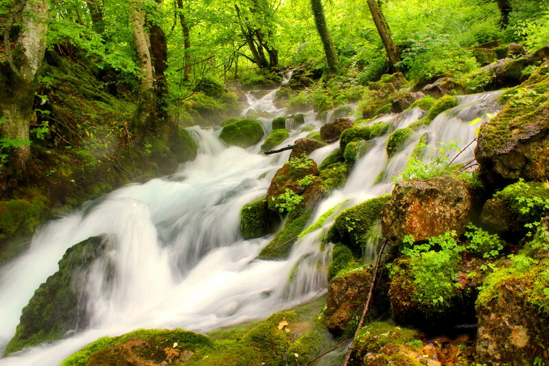 Moss-covered Waterfall — Green, Serene, Afternoon, Photograph, Forest, Stream