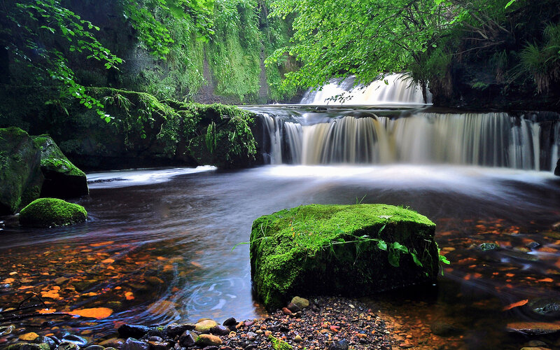 Moss-covered Waterfall — Green, Serene, Afternoon, Photograph, River