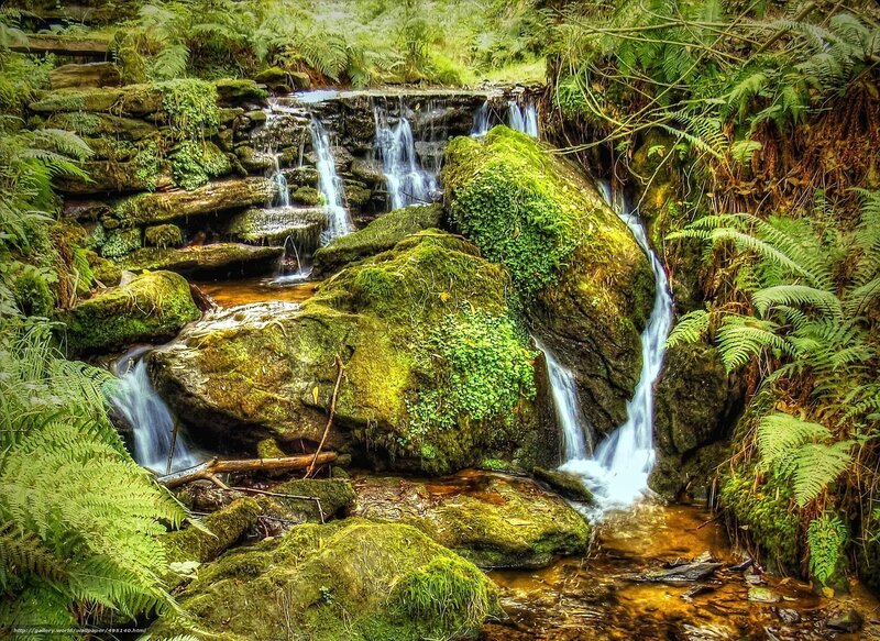 Moss-covered Waterfall — Green, Serene, Afternoon, Photograph, Rocks, Ferns