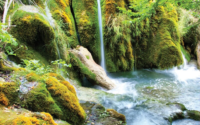 Moss-covered Waterfall — Green, Serene, Afternoon, Photograph, Stream, Rocks, Plants, Blue