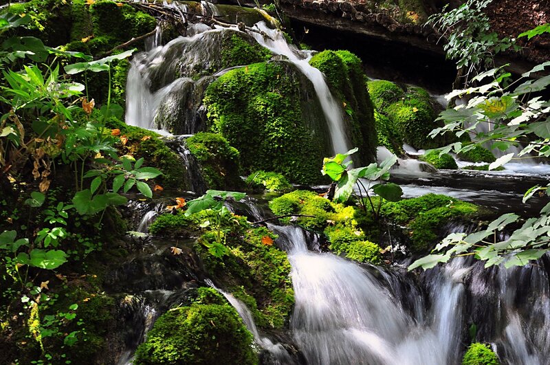 Moss-covered Waterfall — Green, Serene, Afternoon, Photograph, Stream, Rocks, Plants, White, Black