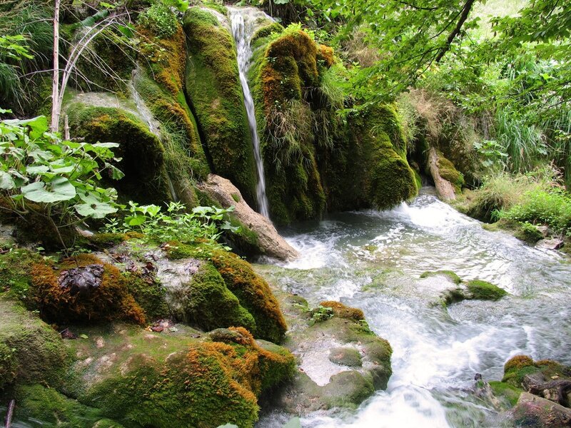 Moss-covered Waterfall — Green, Serene, Afternoon, Photograph, Stream, Rocks, Trees, Plants