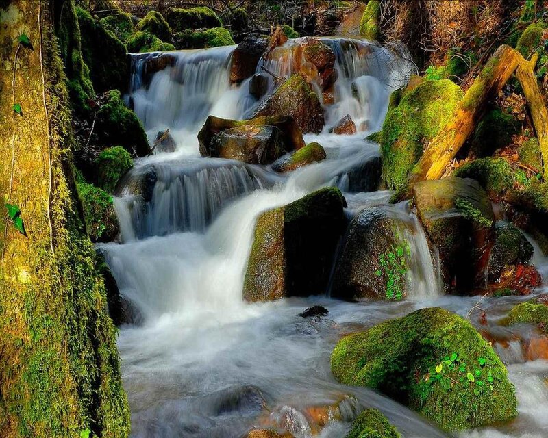 Moss-covered Waterfall — Green, Serene, Afternoon, Photograph, Stream