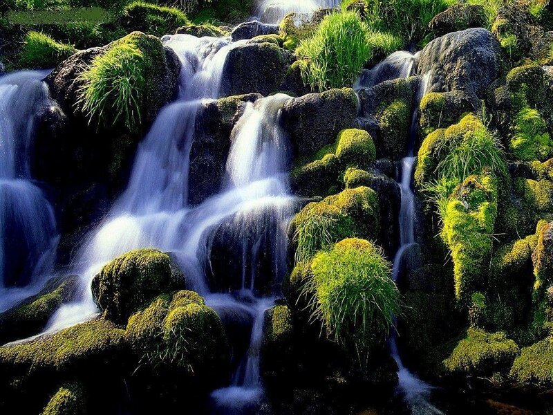 Moss-covered Waterfall — Green, Serene, Afternoon, Photograph