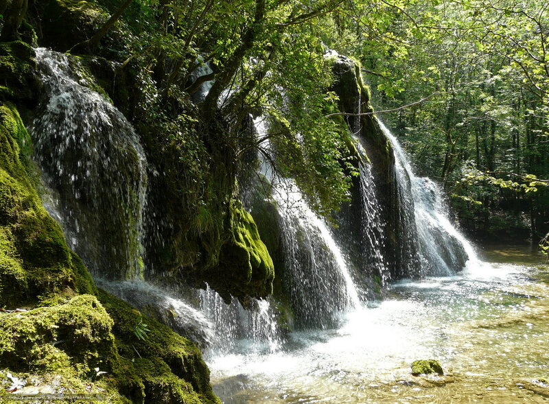 Moss-covered Waterfall — Green, Serene, Afternoon, Photograph, Trees, Stream