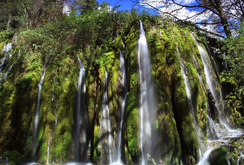 Moss-covered Waterfall — Green, Serene, Afternoon, Photograph, Trees