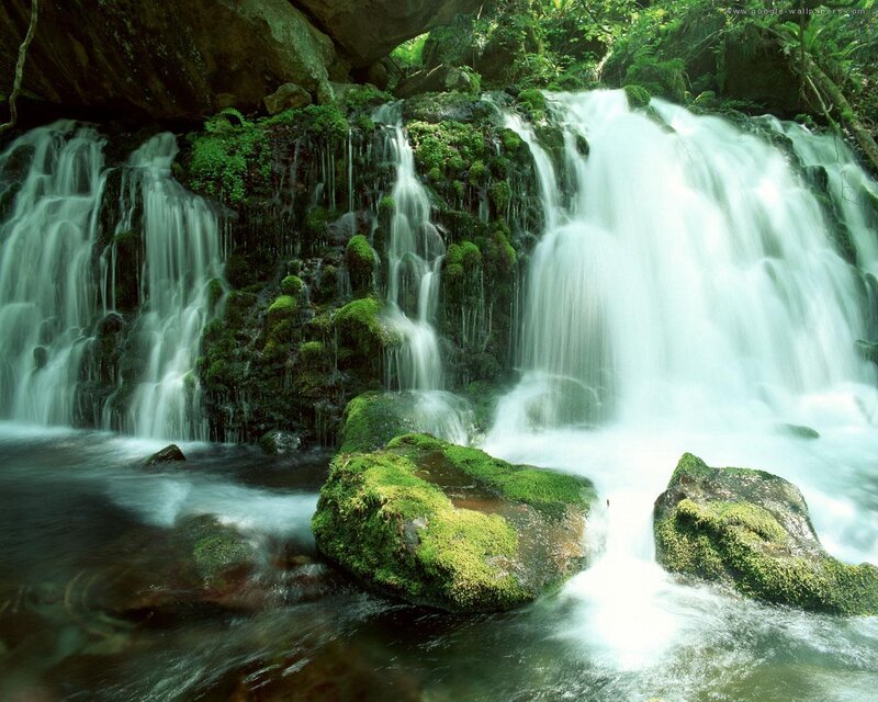 Moss-covered Waterfall — Green, Serene, Afternoon
