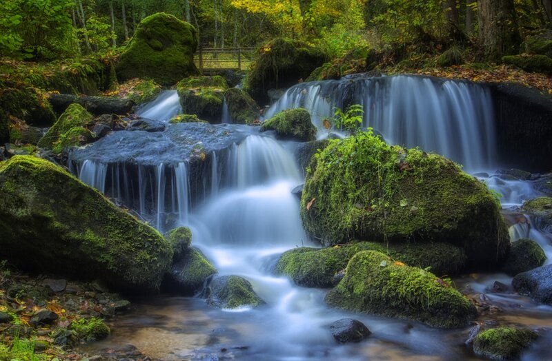 Moss-covered Waterfall — Green, Serene, Autumn, Photograph, Forest