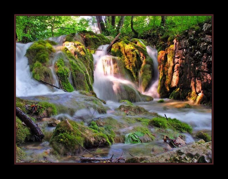Moss-covered Waterfall — Green, Serene, Daytime