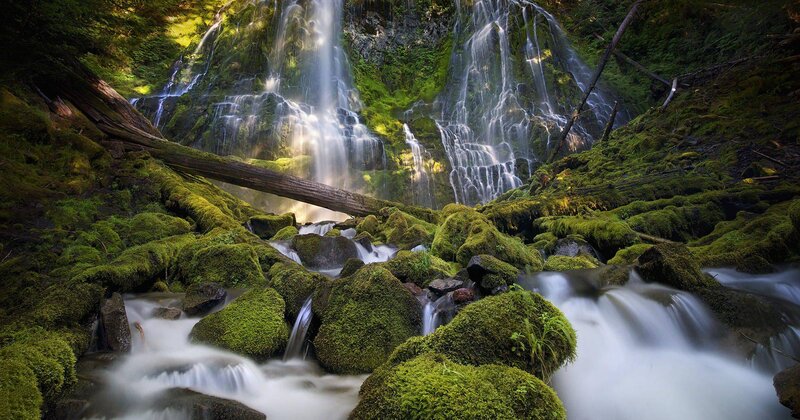 Moss-covered Waterfall — Green, Serene, Morning, Photograph, Moss, Rocks, Fallen Log
