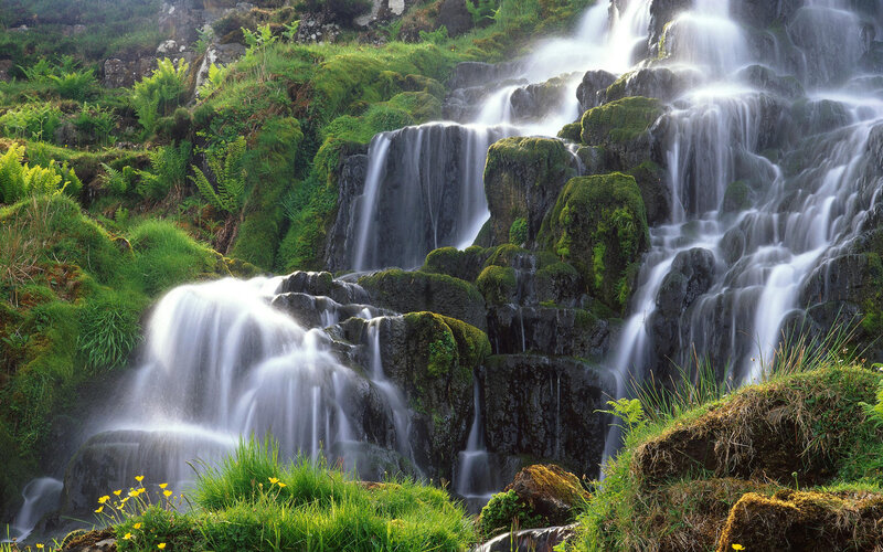 Moss-covered Waterfall — Green, Serene, Morning, Photograph, Moss, Rocks, Ferns