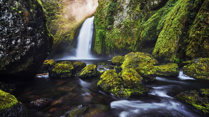 Moss-covered Waterfall — Green, Serene, Morning, Photograph, Rocks, Stream, Moss