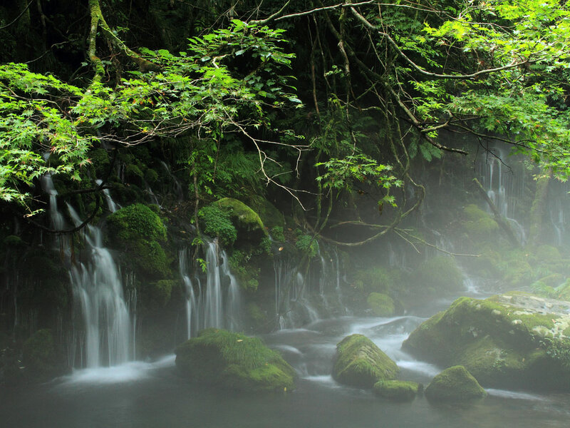 Moss-covered Waterfall — Green, Serene, Morning