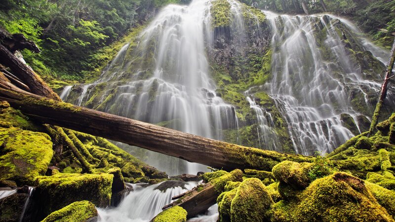 Moss-covered Waterfall — Green, Serene, Photograph, Falling Water