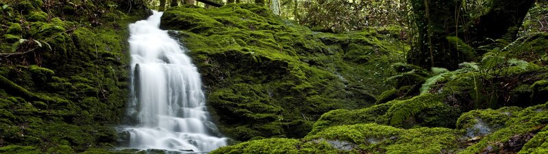 Moss-covered Waterfall — Green, Serene, Photograph, Forest, Rocks, Stream