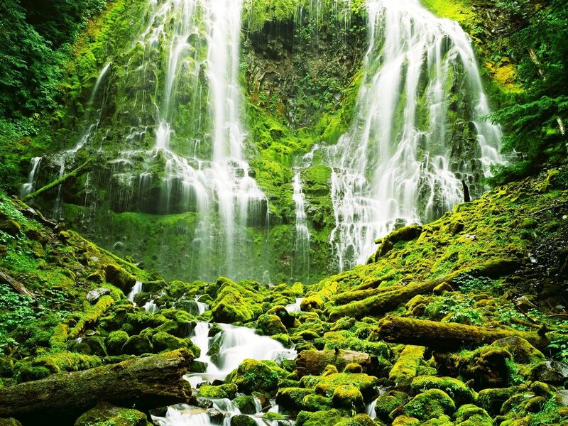 Moss-covered Waterfall — Green, Serene, Photograph, Forest, Rocks