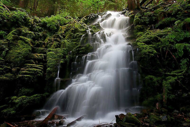 Moss-covered Waterfall — Green, Serene, Photograph, Forest, Rocks, Trees