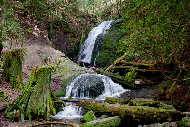 Moss-covered Waterfall — Green, Serene, Photograph, Forest, Stream, Logs