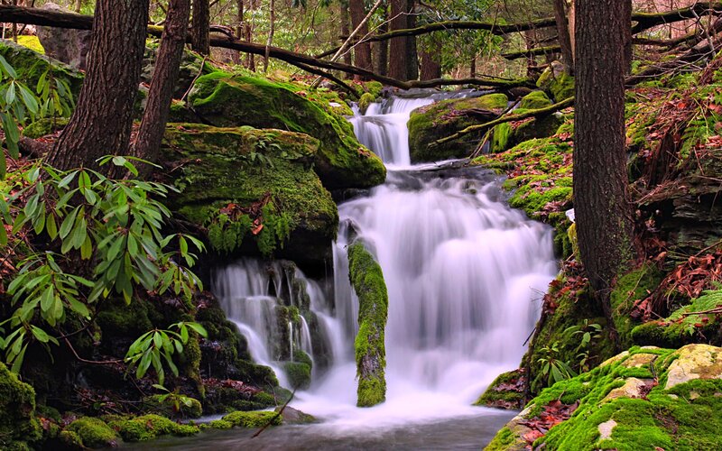 Moss-covered Waterfall — Green, Serene, Photograph, Forest, Stream, Rocks, Trees