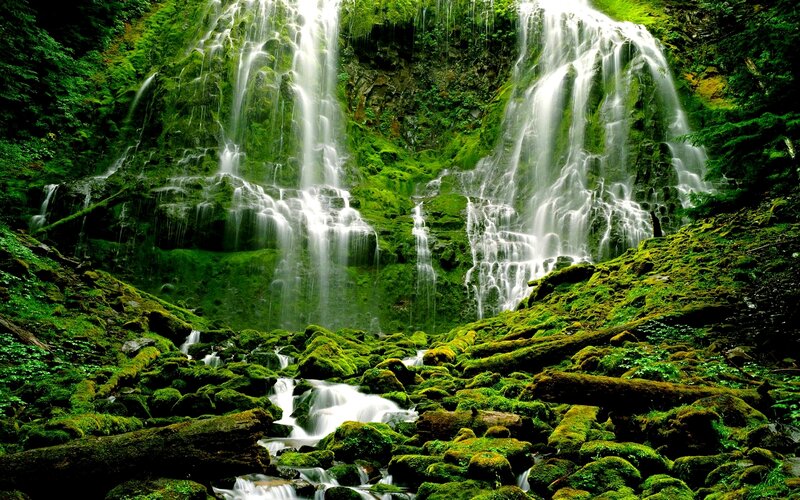 Moss-covered Waterfall — Green, Serene, Photograph, Forest
