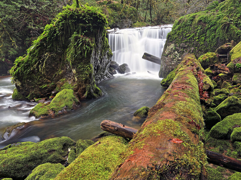 Moss-covered Waterfall — Green, Serene, Photograph, Moss, Falling Water