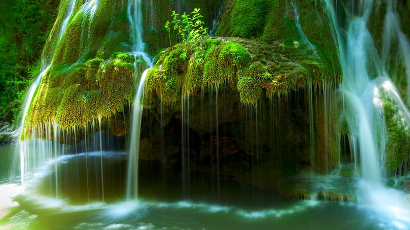 Moss-covered Waterfall — Green, Serene, Photograph, Moss, Plants