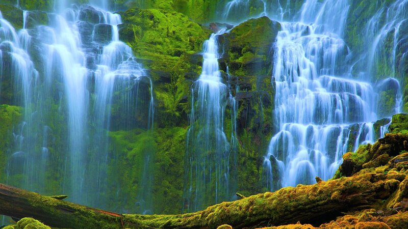 Moss-covered Waterfall — Green, Serene, Photograph, Moss, Rock