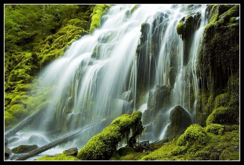 Moss-covered Waterfall — Green, Serene, Photograph, Moss, Rocks, Forest