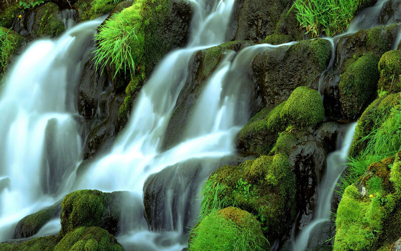 Moss-covered Waterfall — Green, Serene, Photograph, Moss, Rocks, Grass