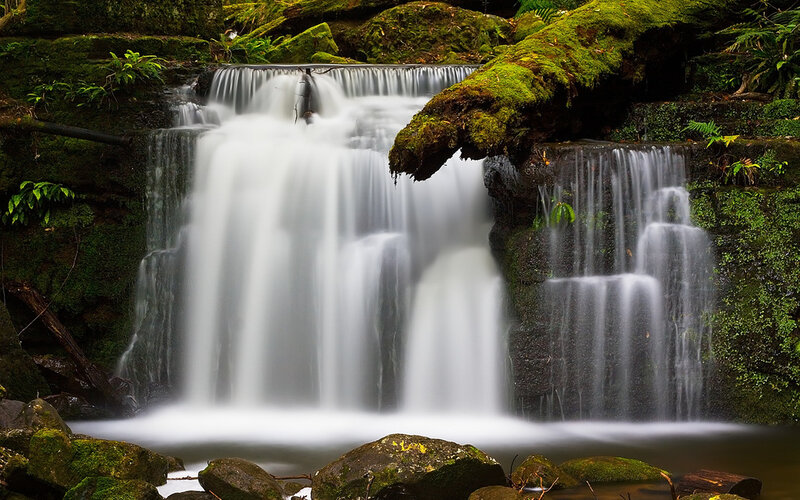 Moss-covered Waterfall — Green, Serene, Photograph, Moss, Rocks, Stream, Forest