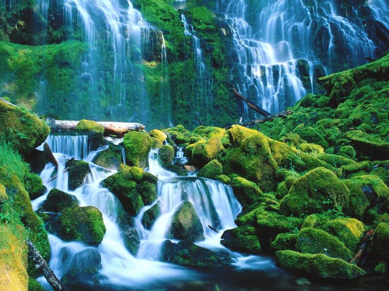 Moss-covered Waterfall — Green, Serene, Photograph, Moss, Rocks, Stream, Log