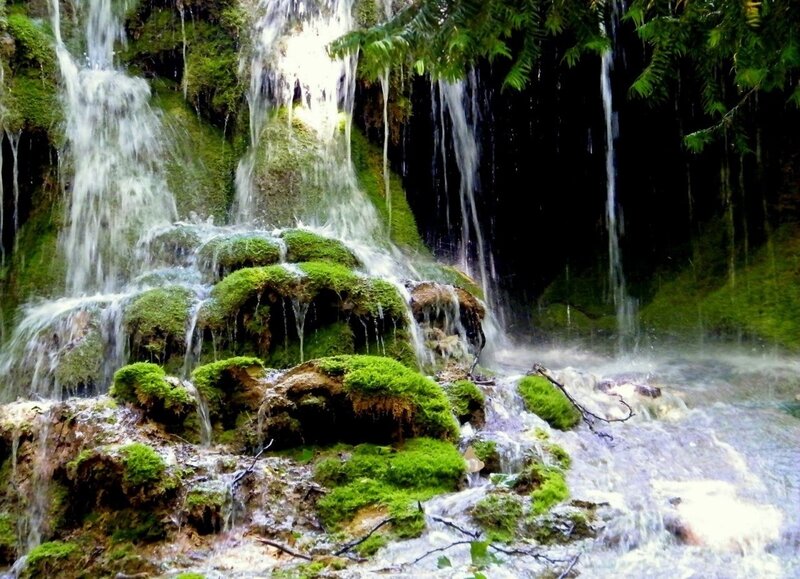 Moss-covered Waterfall — Green, Serene, Photograph, Moss, Rocks, Trees