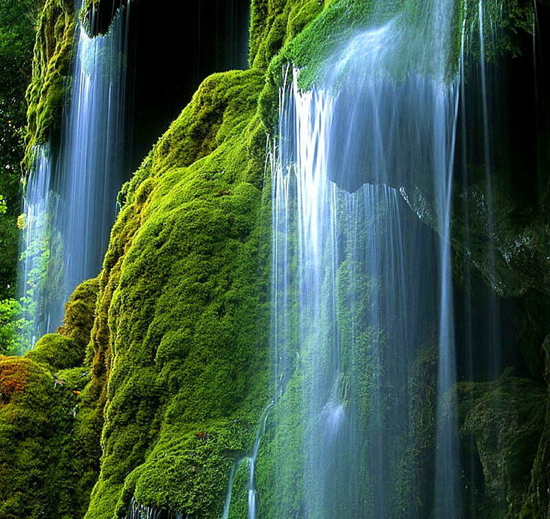 Moss-covered Waterfall — Green, Serene, Photograph, Moss