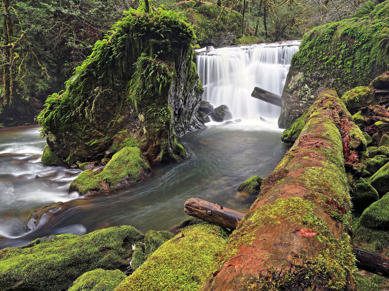 Moss-covered Waterfall — Green, Serene, Photograph, River, Trees, Log