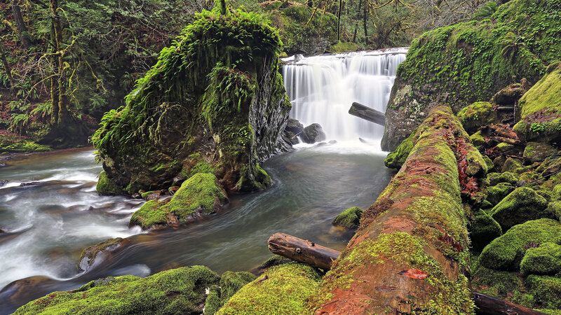 Moss-covered Waterfall — Green, Serene, Photograph, River, Trees, Rocks, Log
