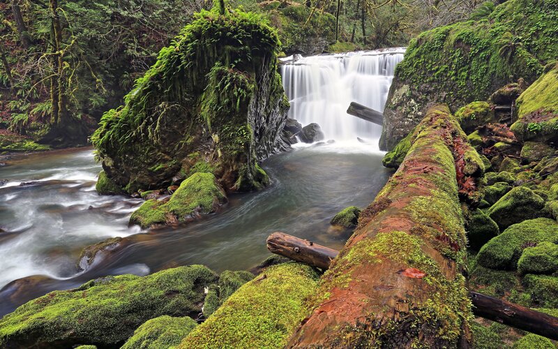 Moss-covered Waterfall — Green, Serene, Photograph, River, Trees, Rocks